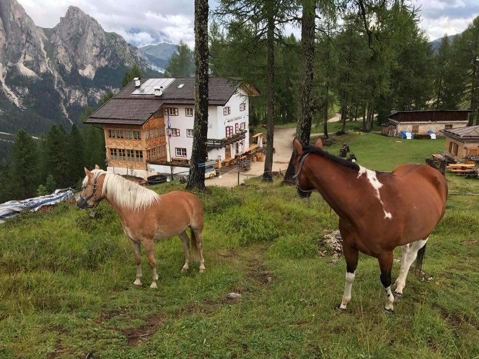 Rifugio Negritella Hotel Pozza di Fassa Exterior photo